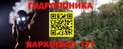 трава Будённовск