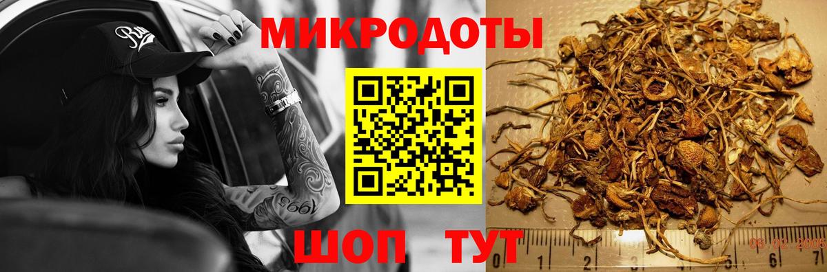 Красногорск  Галлюциногенные грибы мицелий  Вход с VPN 